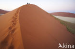 Namib naukluft national park