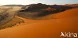 Namib naukluft national park