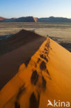 Namib naukluft national park