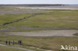 Nationaal Park Duinen van Texel 