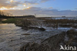 National Park Lauwersmeer