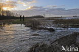 National Park Lauwersmeer