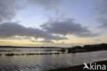 Nationaal Park Lauwersmeer