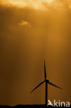 Nationaal Park Lauwersmeer