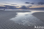 Noordzee