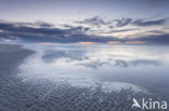 Noordzee