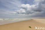 Noordzee