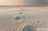 Noordzee