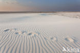 Northsea beach