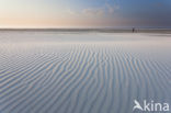 Northsea beach