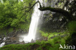 Parc naturel régional des Volcans d Auvergne