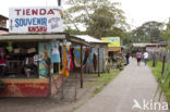 Parque nacional Tortuguero