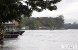 Parque nacional Tortuguero