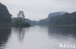 Parque nacional Tortuguero