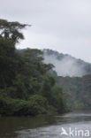 Parque nacional Tortuguero