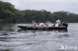 Parque nacional Tortuguero