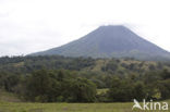 Parque Nacional Volcán Arenal