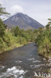 Parque Nacional Volcán Arenal