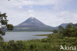 Parque Nacional Volcán Arenal