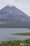 Parque Nacional Volcán Arenal