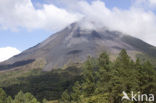 Parque Nacional Volcán Arenal