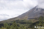 Parque Nacional Volcán Arenal