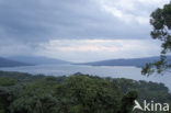 Parque Nacional Volcán Arenal