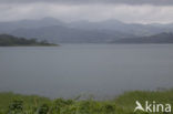 Parque Nacional Volcán Arenal