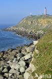 Phare de Cap Gris-Nez