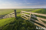 Terschelling