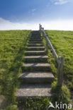 Terschelling