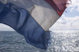 Waddenzee