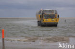 Waddensea