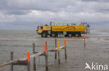 Waddensea