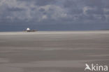 Waddensea