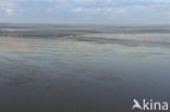 Waddenzee