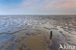 Wadden Sea