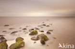 Waddensea