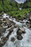 Cascade du Lutour