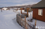 Dovrefjell National Park