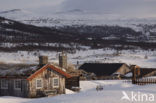 Dovrefjell National Park