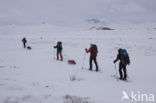 Dovrefjell National Park