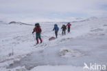 Dovrefjell National Park