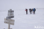 Dovrefjell National Park