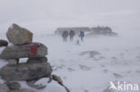 Dovrefjell National Park