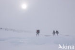 Dovrefjell National Park