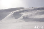 Dovrefjell National Park