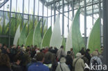 Floriade 2012