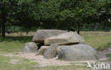 Gasterse Duinen