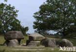 Gasterse Duinen